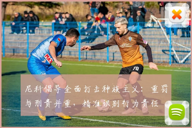 尼科倡导全面打击种族主义：重罚与刑责并重，精准识别行为责任